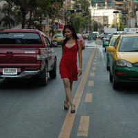 Nisha Kothari Latest Hot Pictures | Picture 595548