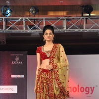 Nikitha Narayan - Fashionology Fashion Show 2013 Photos
