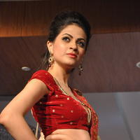 Nikitha Narayan - Fashionology Fashion Show 2013 Photos | Picture 596731