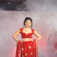 Nikitha Narayan Hot Images at Fashionology Fashion Show | Picture 596746