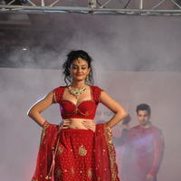 Nikitha Narayan Hot Images at Fashionology Fashion Show | Picture 596748