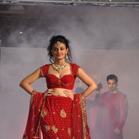 Nikitha Narayan Hot Images at Fashionology Fashion Show | Picture 596749