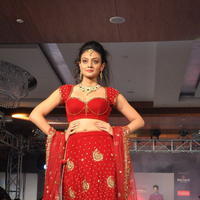 Nikitha Narayan Hot Images at Fashionology Fashion Show | Picture 596758