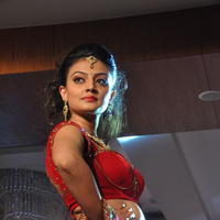 Nikitha Narayan Hot Images at Fashionology Fashion Show | Picture 596763