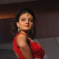 Nikitha Narayan Hot Images at Fashionology Fashion Show | Picture 596764