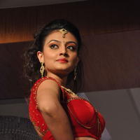 Nikitha Narayan Hot Images at Fashionology Fashion Show | Picture 596765