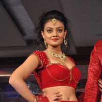 Nikitha Narayan Hot Images at Fashionology Fashion Show | Picture 596769