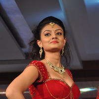 Nikitha Narayan Hot Images at Fashionology Fashion Show | Picture 596775