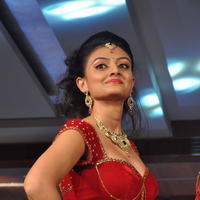 Nikitha Narayan Hot Images at Fashionology Fashion Show | Picture 596776