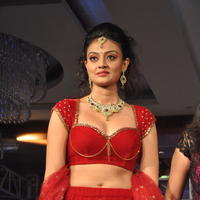 Nikitha Narayan Hot Images at Fashionology Fashion Show | Picture 596781