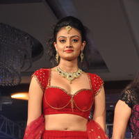 Nikitha Narayan Hot Images at Fashionology Fashion Show | Picture 596783