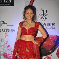 Nikitha Narayan Hot Images at Fashionology Fashion Show | Picture 596817
