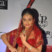 Nikitha Narayan Hot Images at Fashionology Fashion Show | Picture 596825