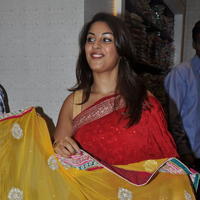 Richa Gangopadhyay Latest Saree Photos | Picture 597485