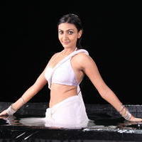 Neelam Upadhyay New Hot Photos | Picture 600793