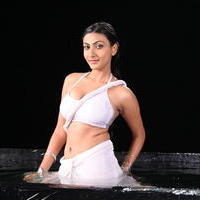 Neelam Upadhyay New Hot Photos | Picture 600794
