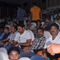 Ramayya Vastavayya Movie Hungama at Sudarshan 35mm Pictures | Picture 602091