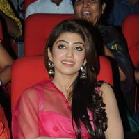 Pranitha - Attarintiki Daredi Movie Success Meet Photos | Picture 606126