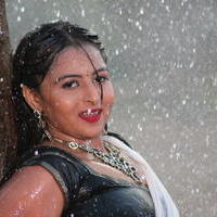 Samvrutha Sunil Hot Photos | Picture 607981