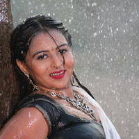 Samvrutha Sunil Hot Photos | Picture 607983