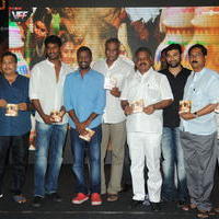 Palnadu Movie Audio Launch Photos | Picture 610465
