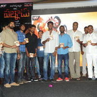 Palnadu Movie Audio Launch Photos | Picture 610474