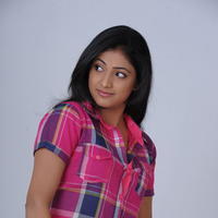Haripriya Latest Hot Images | Picture 611257