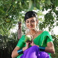 Neelam Upadhyay Hot Half Saree Images | Picture 611163