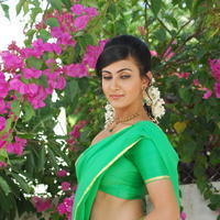 Neelam Upadhyay Hot Half Saree Images | Picture 611176