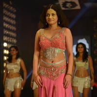 Sneha Ullal Item Song Hot Pictures | Picture 610814
