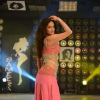 Sneha Ullal Item Song Hot Pictures | Picture 610829