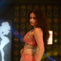 Sneha Ullal Item Song Hot Pictures | Picture 610851