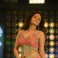 Sneha Ullal Item Song Hot Pictures | Picture 610854