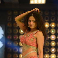Sneha Ullal Item Song Hot Pictures | Picture 610856
