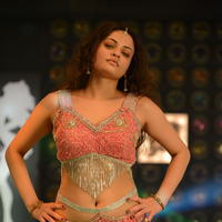 Sneha Ullal Item Song Hot Pictures | Picture 610861
