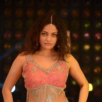 Sneha Ullal Item Song Hot Pictures | Picture 610870