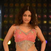 Sneha Ullal Item Song Hot Pictures | Picture 610872