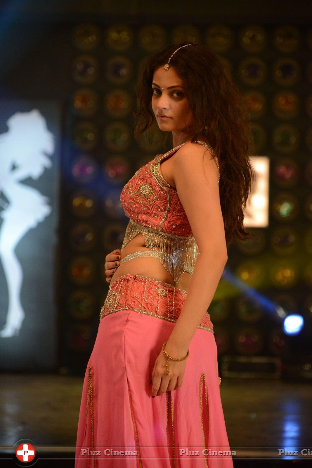 Sneha Ullal Item Song Hot Pictures | Picture 610851