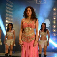 Sneha Ullal Item Song Hot Pictures | Picture 610765