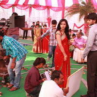Venkatadri Express Movie Working Stills | Picture 612941