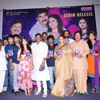 Man of the Match Movie Audio Release Function Photos | Picture 613658