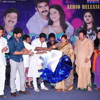Man of the Match Movie Audio Release Function Photos | Picture 613665