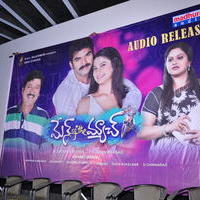 Man of the Match Movie Audio Release Function Photos | Picture 613716