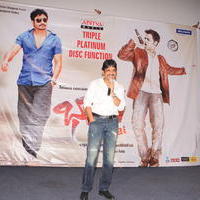 Nagarjuna Akkineni - Bhai Movie Triple Platinum Disc Function Stills | Picture 614872