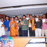 Buchi Babu Movie Audio Release Function Pictures | Picture 615775