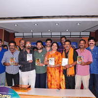 Buchi Babu Movie Audio Release Function Pictures | Picture 615789