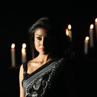 Shriya saran Hot Black Saree Images | Picture 616651