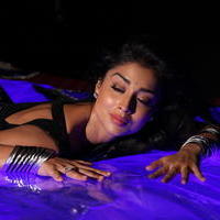 Shriya saran Hot Black Saree Images | Picture 616721