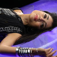 Shriya saran Hot Black Saree Images | Picture 616773