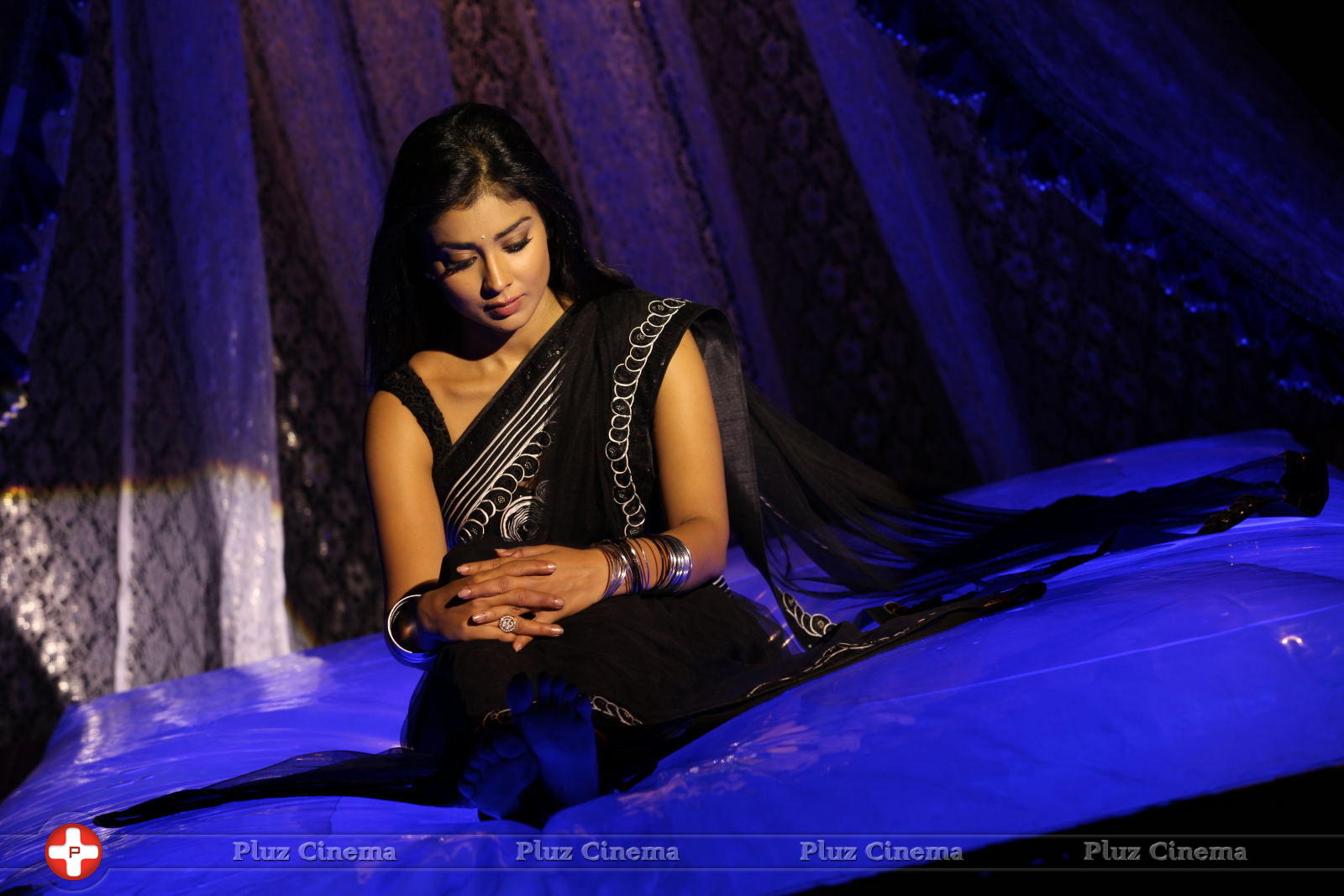 Shriya saran Hot Black Saree Images | Picture 616659